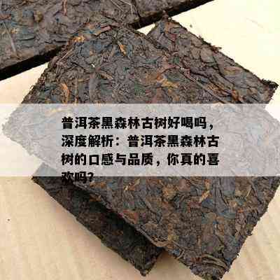 普洱茶黑森林古树好喝吗，深度解析：普洱茶黑森林古树的口感与品质，你真的喜欢吗？