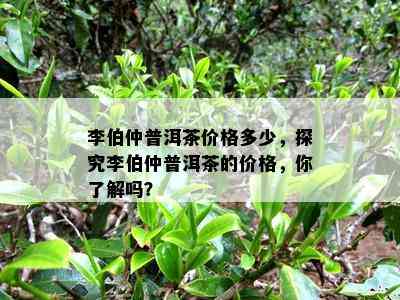 李伯仲普洱茶价格多少，探究李伯仲普洱茶的价格，你熟悉吗？