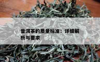 普洱茶的质量标准：详细解析与要求