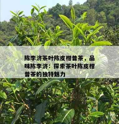 陈李济茶叶陈皮柑普茶，品味陈李济：探索茶叶陈皮柑普茶的特别魅力