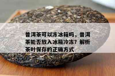 普洱茶可以冻冰箱吗，普洱茶能否放入冰箱冷冻？解析茶叶保存的正确方法