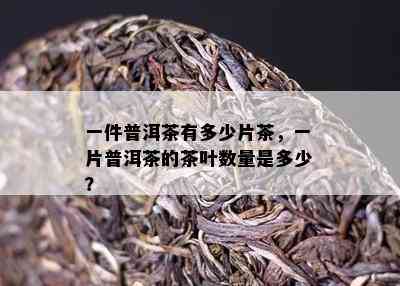 一件普洱茶有多少片茶，一片普洱茶的茶叶数量是多少？