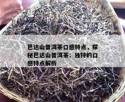 巴达山普洱茶口感特点，探秘巴达山普洱茶：特别的口感特点解析