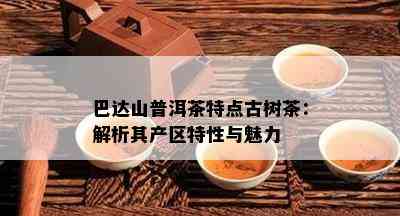 巴达山普洱茶特点古树茶：解析其产区特性与魅力