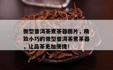 微型普洱茶煮茶器图片，精致小巧的微型普洱茶煮茶器，让品茶更加便捷！