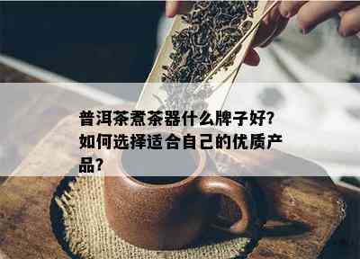 普洱茶煮茶器什么牌子好？怎样选择适合本人的优质产品？