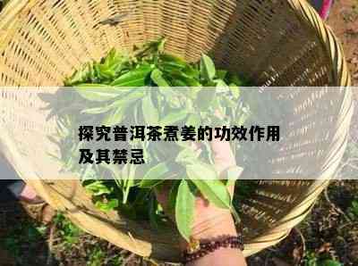 探究普洱茶煮姜的功效作用及其禁忌