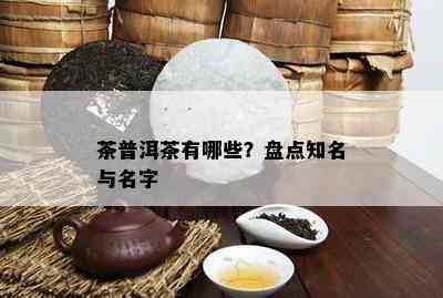 茶普洱茶有哪些？盘点知名与名字