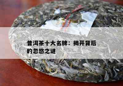 普洱茶十大名牌：揭开背后的忽悠之谜