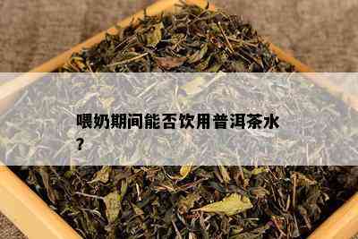 喂奶期间能否饮用普洱茶水？