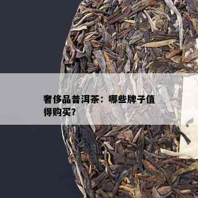 奢侈品普洱茶：哪些牌子值得购买？