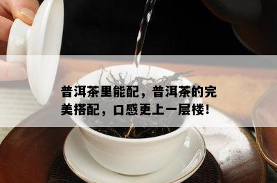 普洱茶里能配，普洱茶的完美搭配，口感更上一层楼！