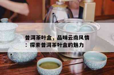 普洱茶叶盒，品味云南风情：探索普洱茶叶盒的魅力