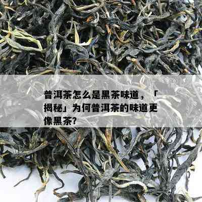 普洱茶怎么是黑茶味道，「揭秘」为何普洱茶的味道更像黑茶？