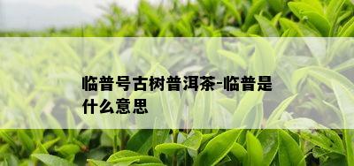 临普号古树普洱茶-临普是什么意思