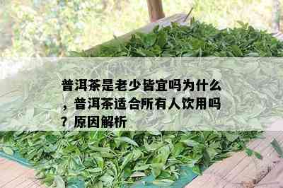 普洱茶是老少皆宜吗为什么，普洱茶适合所有人饮用吗？原因解析