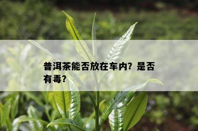 普洱茶能否放在车内？是不是有？