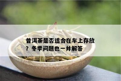 普洱茶是不是适合在车上存放？冬季疑问也一并解答