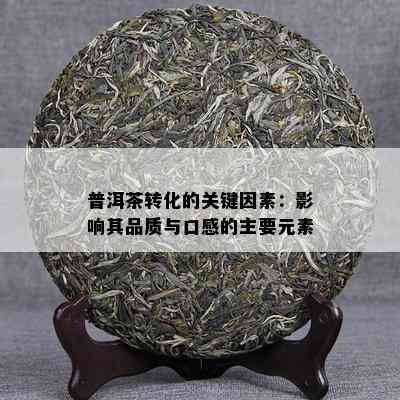 普洱茶转化的关键因素：影响其品质与口感的主要元素