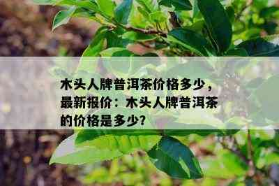 木头人牌普洱茶价格多少，最新报价：木头人牌普洱茶的价格是多少？