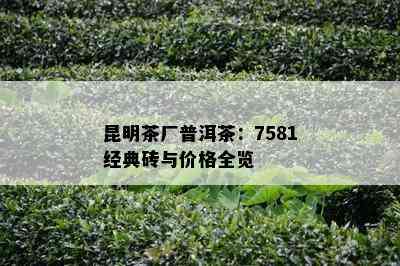 昆明茶厂普洱茶：7581经典砖与价格全览