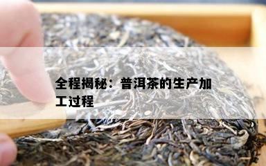 全程揭秘：普洱茶的生产加工过程