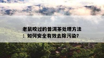 老鼠咬过的普洱茶处理方法：如何安全有效去除污染？