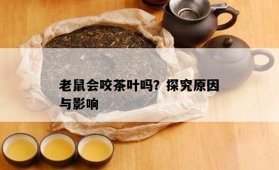 老鼠会咬茶叶吗？探究原因与影响