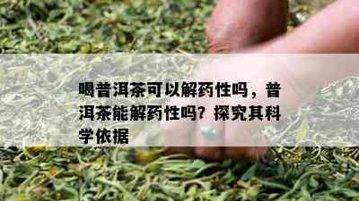 喝普洱茶可以解性吗，普洱茶能解性吗？探究其科学依据