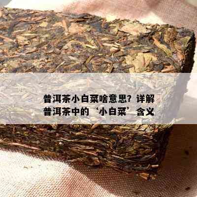 普洱茶小白菜啥意思？详解普洱茶中的‘小白菜’含义