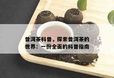 普洱茶科普，探索普洱茶的世界：一份全面的科普指南