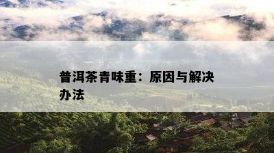 普洱茶青味重：原因与解决办法