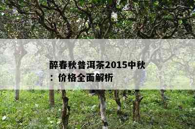 醉春秋普洱茶2015中秋：价格全面解析