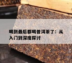 喝到最后都喝普洱茶了：从入门到深度探讨