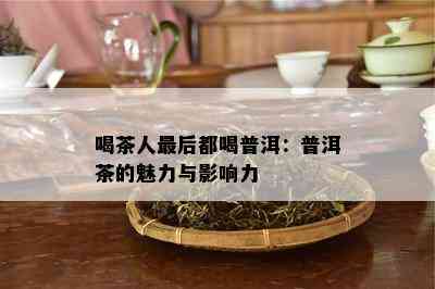 喝茶人最后都喝普洱：普洱茶的魅力与影响力