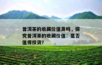 普洱茶的收藏价值高吗，探究普洱茶的收藏价值：是否值得投资？