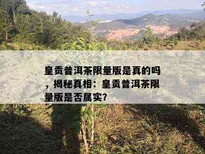 皇贡普洱茶  版是真的吗，揭秘真相：皇贡普洱茶  版是不是属实？