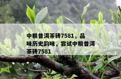 中粮普洱茶砖7581，品味历史韵味，尝试中粮普洱茶砖7581