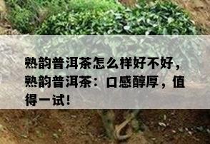 熟韵普洱茶怎么样好不好，熟韵普洱茶：口感醇厚，值得一试！