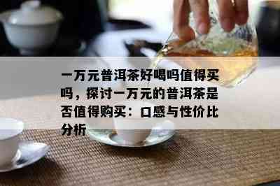 一万元普洱茶好喝吗值得买吗，探讨一万元的普洱茶是否值得购买：口感与性价比分析