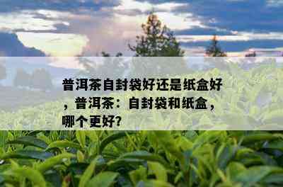 普洱茶自封袋好还是纸盒好，普洱茶：自封袋和纸盒，哪个更好？