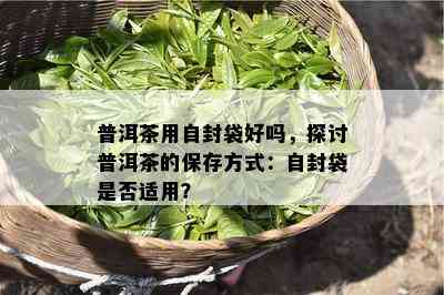 普洱茶用自封袋好吗，探讨普洱茶的保存方法：自封袋是不是适用？