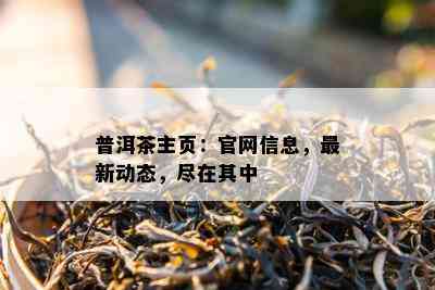 普洱茶主页：官网信息，最新动态，尽在其中