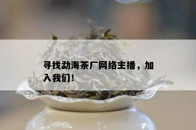 寻找勐海茶厂网络主播，加入我们！