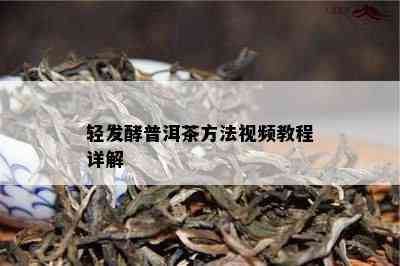 轻发酵普洱茶方法视频教程详解