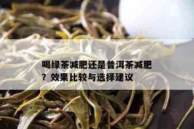 喝绿茶减肥还是普洱茶减肥？效果比较与选择建议