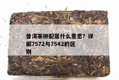 普洱茶拼配是什么意思？详解7572与7542的区别