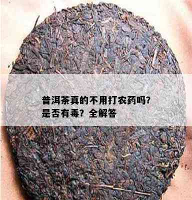 普洱茶真的不用打农吗？是不是有？全解答