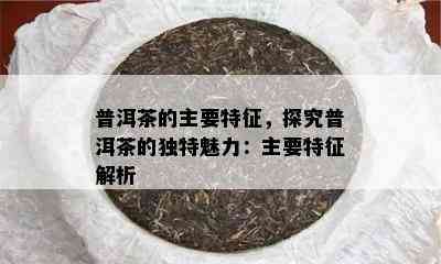 普洱茶的主要特征，探究普洱茶的独特魅力：主要特征解析