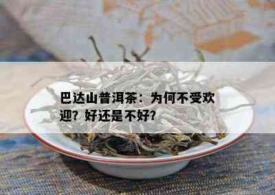 巴达山普洱茶：为何不受欢迎？好还是不好？